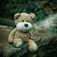Lost Teddy